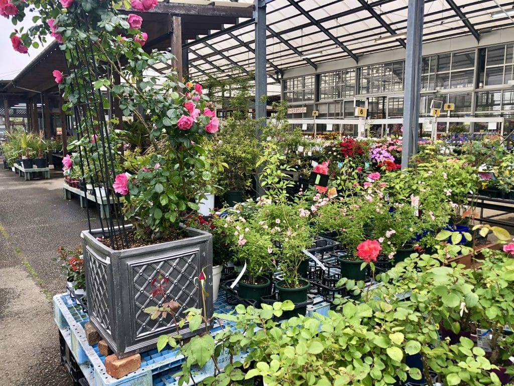 花や野菜、植物を育てることの幸せ。